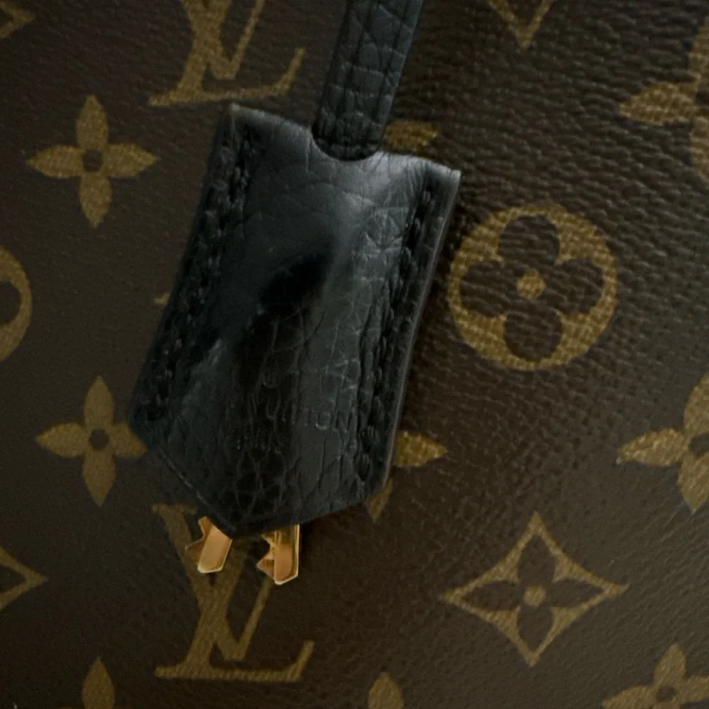 Louis Vuitton Brown and Black Monogram Satchel